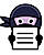 FaceGroupNinja logo