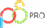 Ps Pro logo