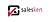 Salesken logo