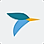 Tern logo