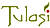Tulassi Fleet Management System logo