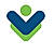Visual Visitor Sales Intelligence logo