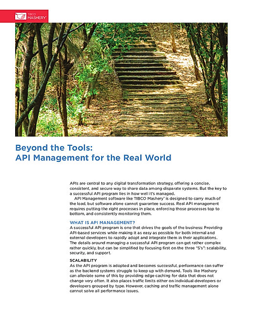Beyond the Tools: API Management for the Real World