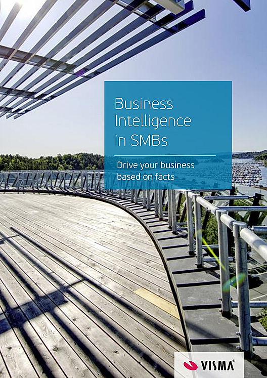 Business Intelligence in SMBs