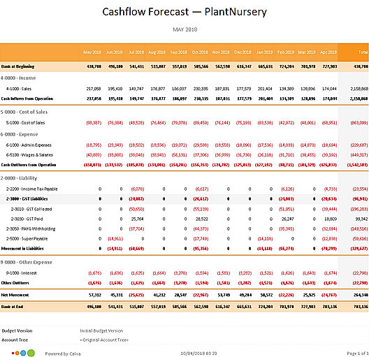 Report Cashflow Forecast 1 Year Monthly Report