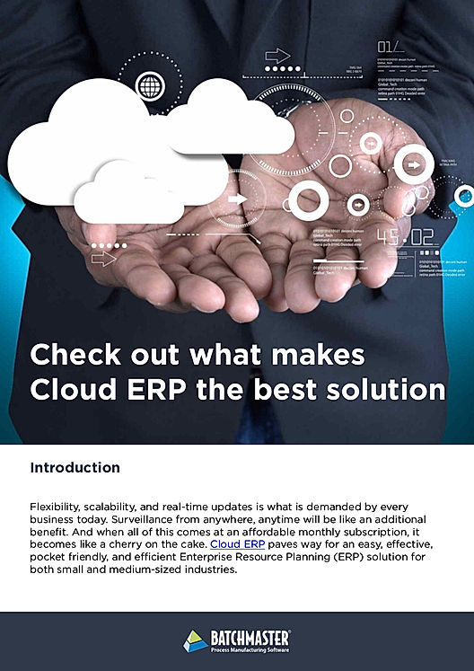 Check out what makes Cloud ERP the best solution