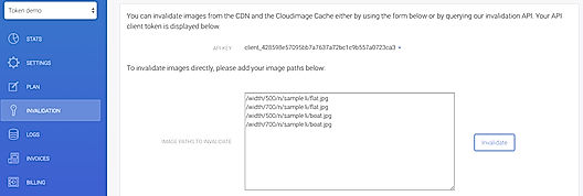 Invalidate the image from the CDN and Cloudimage caches