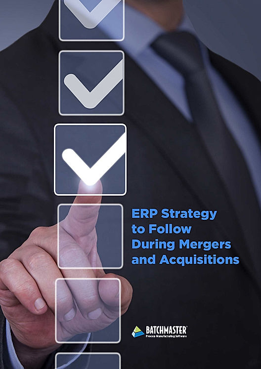 ERP Strategy to Follow During Mergers and Acquisitions