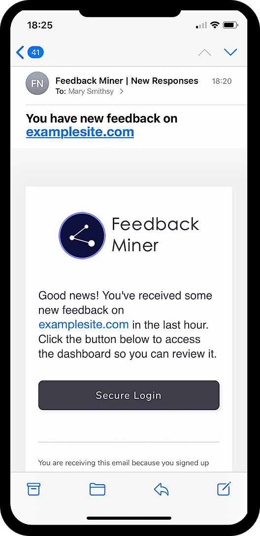 Feedback Miner : screenshot