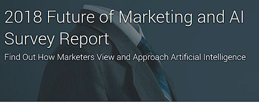 2018 Future of Marketing and AI Survey Report