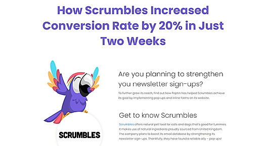 How Scrumbles Increased Conversion Rate by 20% in Just Two Weeks