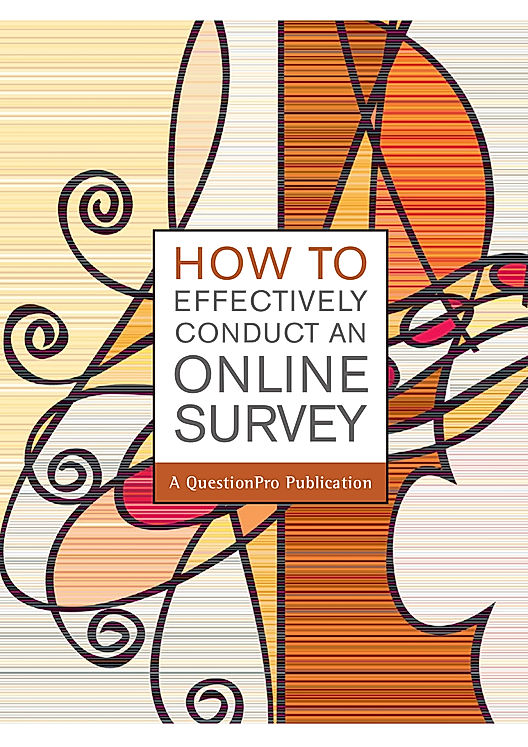 How to Effectively Conduct an Online Survey