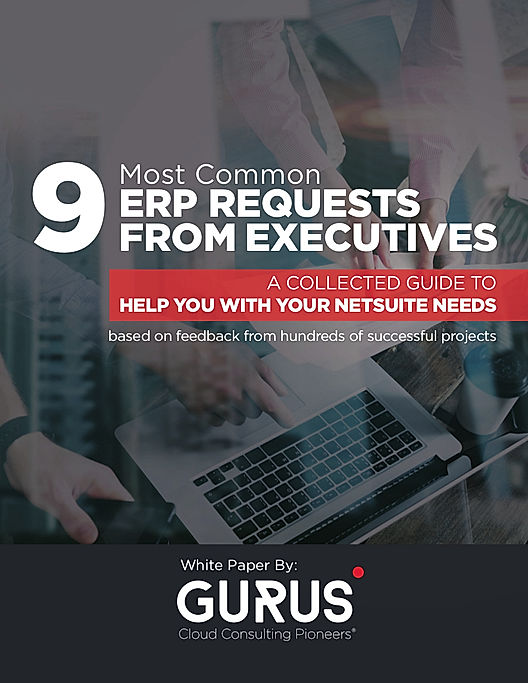 9 Most Common ERP Requests From Executives