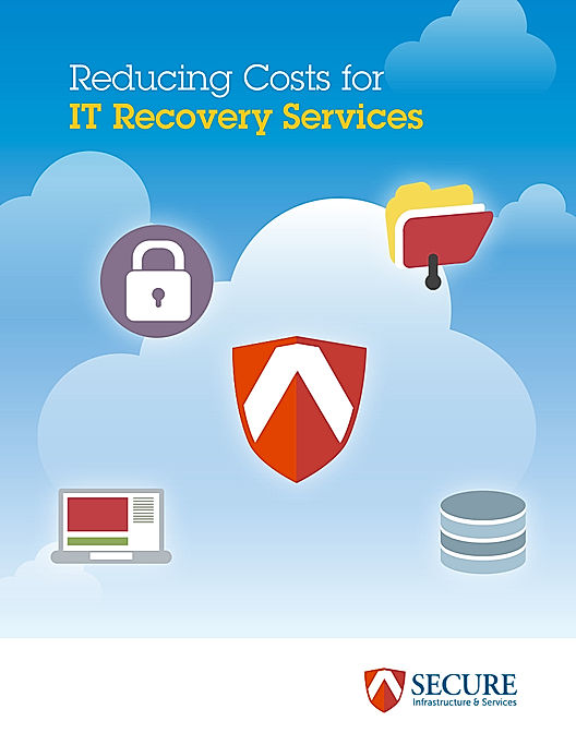Reducing Costs for IT Recovery Services
