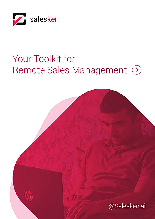 Remote Sales Management Toolkit