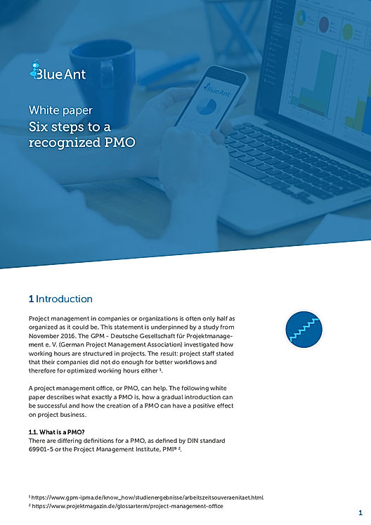 Six steps to a recognized PMO