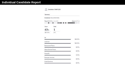 Individual Candidate Report