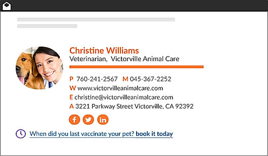 WiseStamp screenshot: An example of WiseStamp's "Horizontal" email signature template