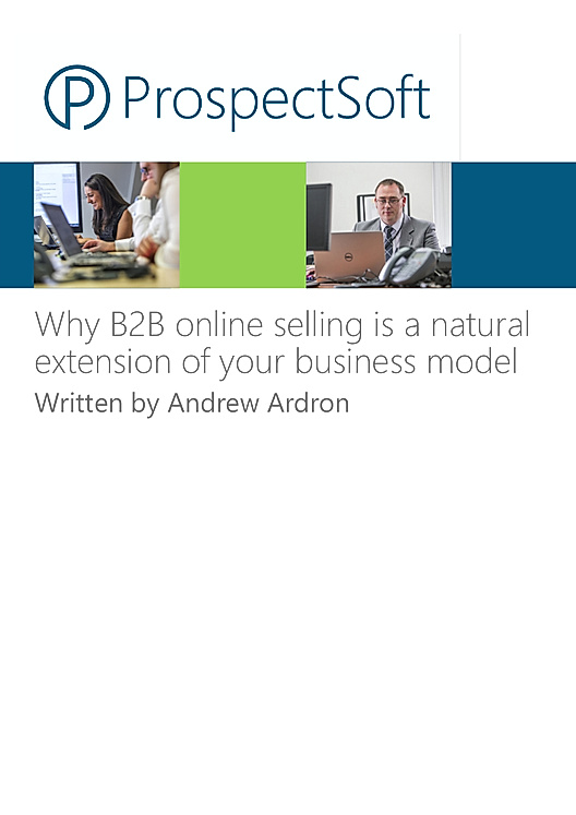 Why B2B online selling is a natural extension of your business model