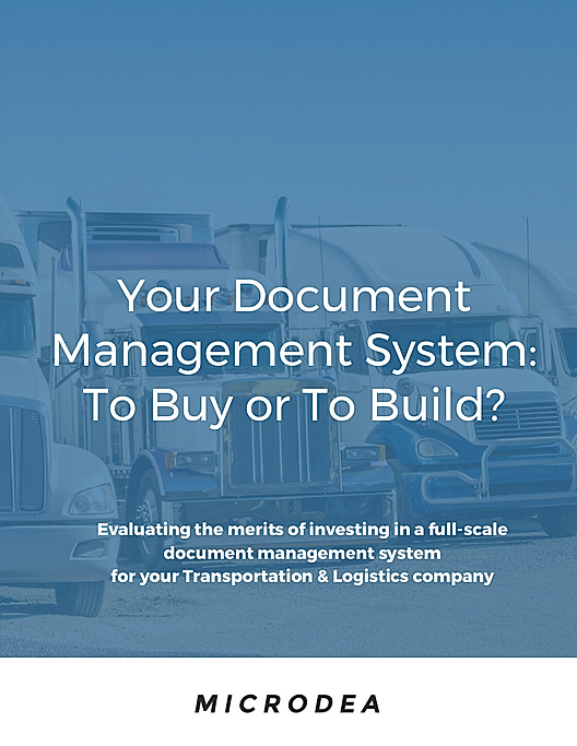 Your Document Management System: To Buy or To Build?