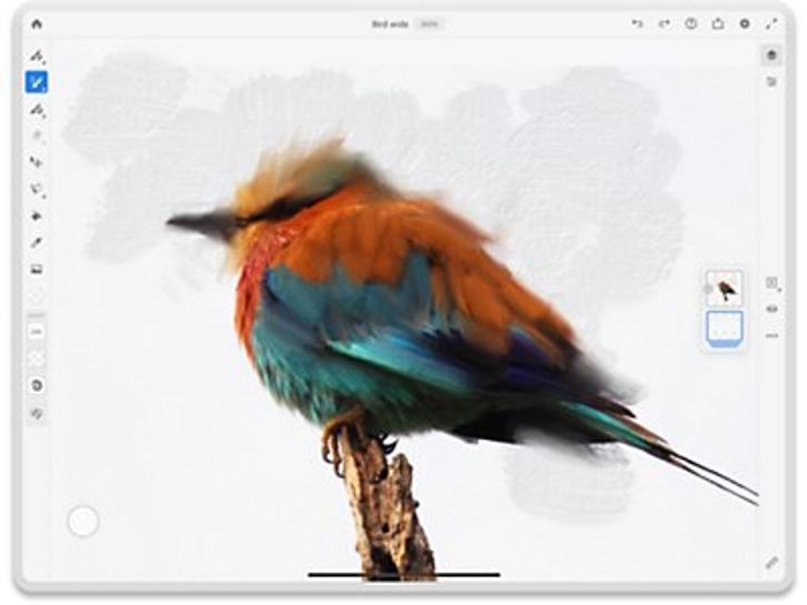 Adobe Fresco Screenshots