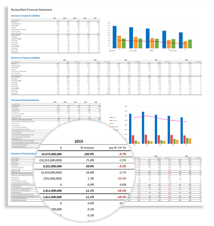 Financial Statement Analysis Screenshots