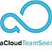 Access TeamSeer logo
