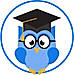 AccioIbis logo