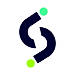 A Safer Risk logo