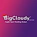 BigCloudy logo
