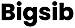 Bigsib logo