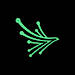 Black Kite logo