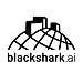 Blackshark.ai logo