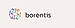 Borentis logo