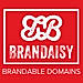 Brandaisy logo