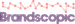 Brandscopic logo