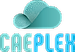 CAEplex logo