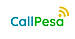 CallPesa logo