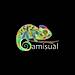 Camisual logo