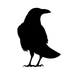 Crow logo