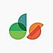 Datasine logo