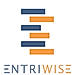 Entriwise logo