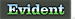 Evident logo