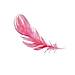 Feather logo