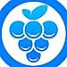 Grape logo