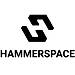 Hammerspace logo