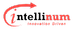 Intellinum Flexi LogiPro logo