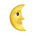 Lunally logo