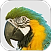 Macaw Agency Management System logo
