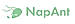 NapAnt logo